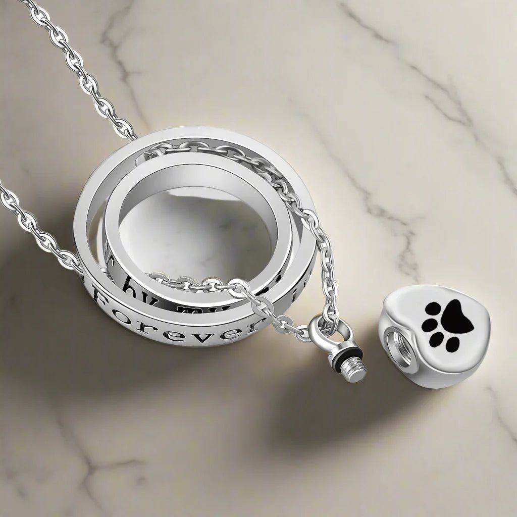 "Ya No Está a Mi Lado, Pero Siempre Estará en mi Corazón" – Collar con Colgante de Pata de urna de Acero Inoxidable.
